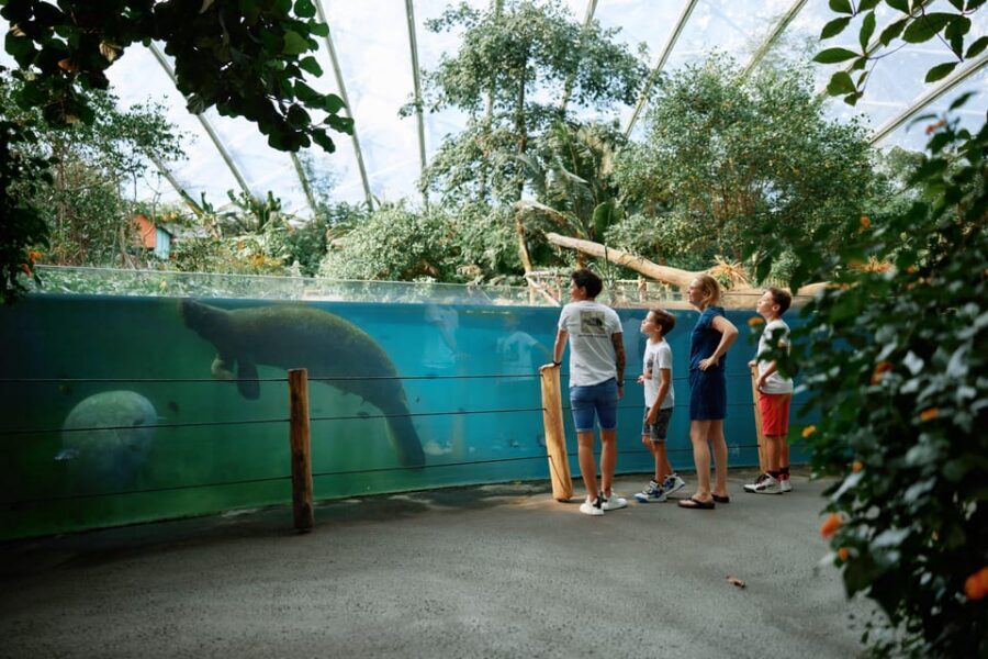 Arnhem: Burgers' Zoo Entry Ticket - Price and value: is $33 worth a full day of habitats?