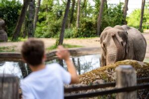 Arnhem: Burgers' Zoo Entry Ticket - Planning an 8-hour visit: what to prioritize first