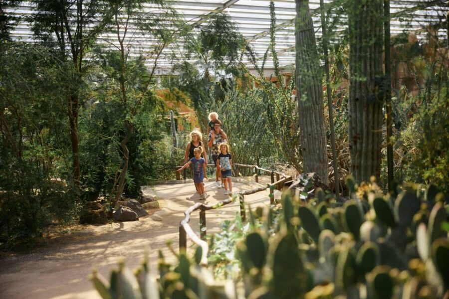 Arnhem: Burgers' Zoo Entry Ticket - Safari plains: watching giraffes and rhinos roam where you walk