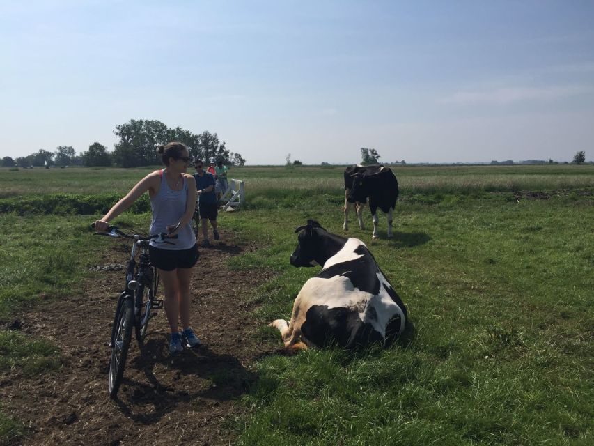 From Amsterdam: Countryside Bike Tour - Key reasons this tour is so well liked