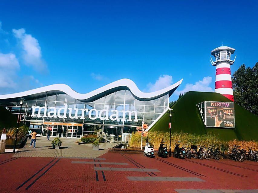 From Amsterdam: Day Tour to Rotterdam, Delft and The Hague - Rotterdam: port power, rebuilt streets, and the wow-factor stops