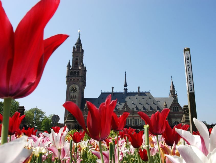 From Amsterdam: Guided Trip to Rotterdam, Delft & The Hague - Quick hits before you go