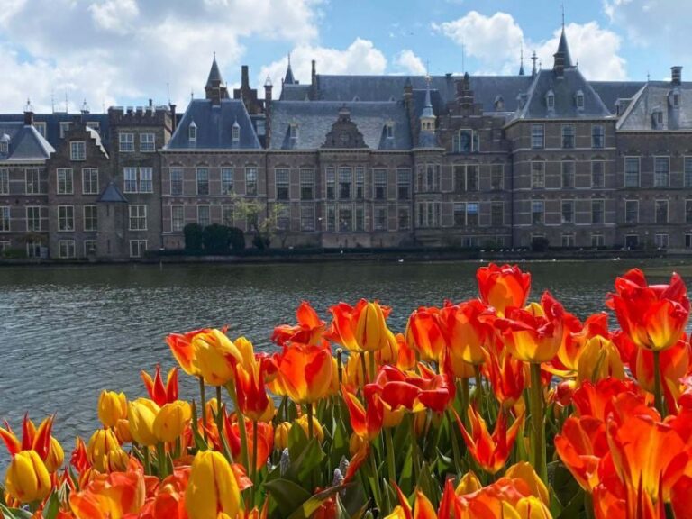 From Amsterdam: Guided Trip to Rotterdam, Delft & The Hague - Meeting point at Stationsplein 4: easy to find, but arrive early