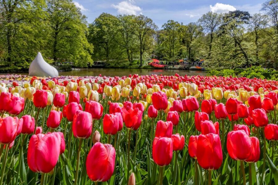 From Amsterdam: Keukenhof and Dutch Countryside Tour - Key highlights before you go