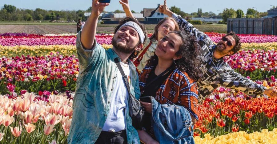 From Amsterdam: Keukenhof Gardens & Tulip Experience Tour - Key highlights to notice before you go