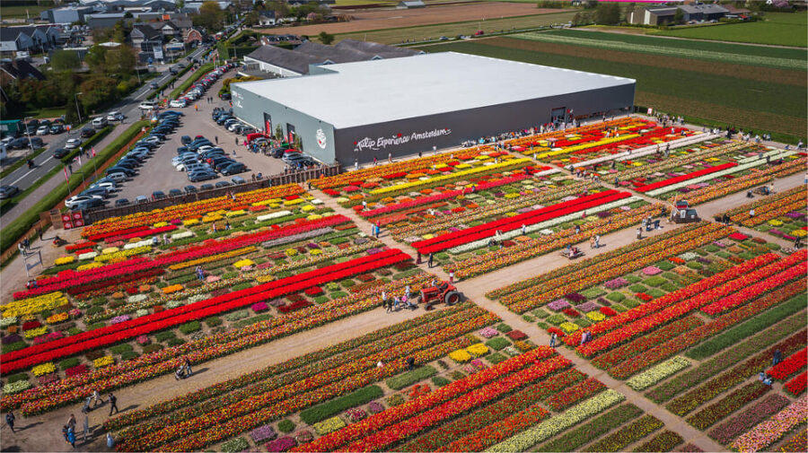 From Amsterdam: Keukenhof Gardens & Tulip Experience Tour - What’s included, what’s not, and where delays show up