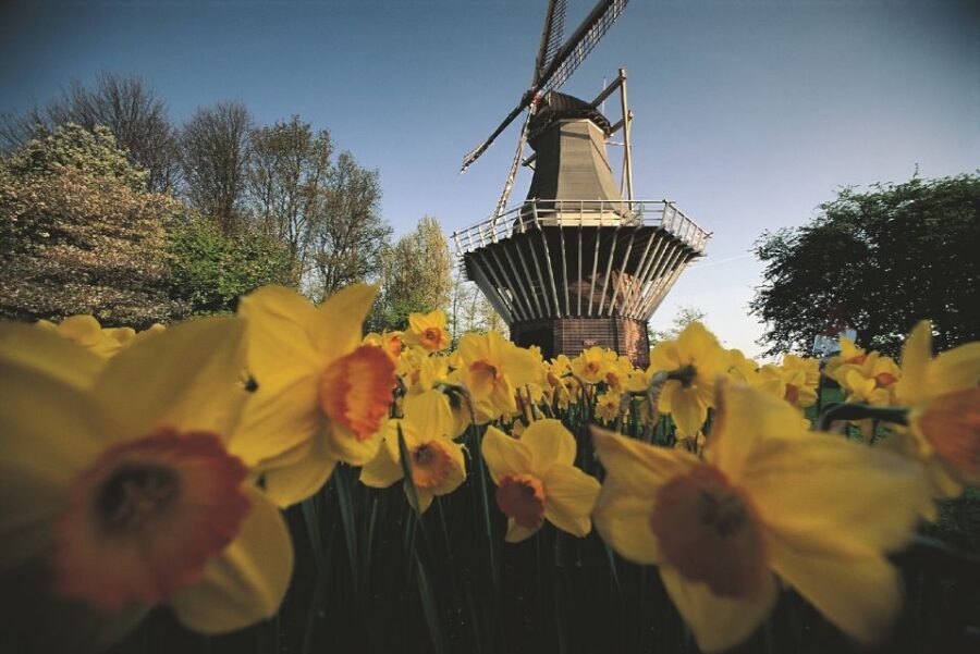 From Amsterdam: Keukenhof Gardens & Tulip Experience Tour - Who should book this Keukenhof + Tulip Experience tour