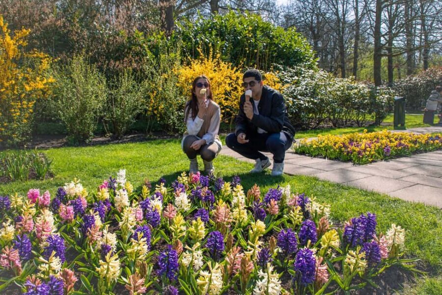 From Amsterdam: Keukenhof Ticket with Transfer - Tips to make your Keukenhof day trip feel smooth