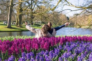 From Amsterdam: Keukenhof Ticket with Transfer - From Amsterdam Central to tulip fields: the bus ride with real context