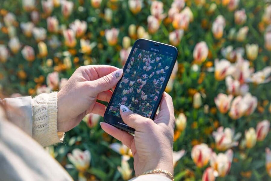 From Amsterdam: Keukenhof Ticket with Transfer - How crowded is it? A realistic look at walking, crowds, and bloom timing
