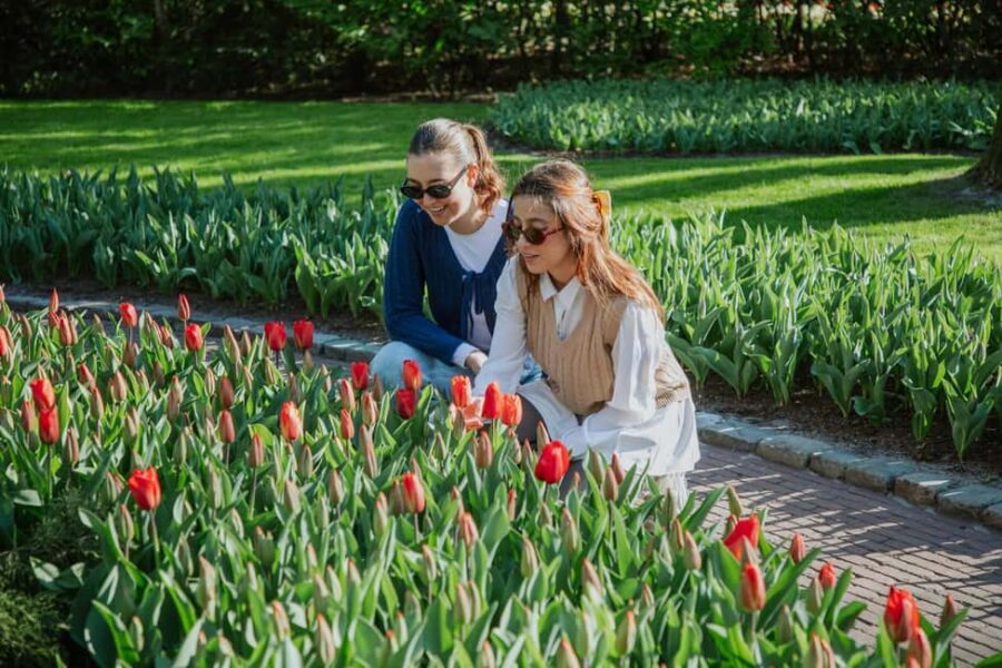 From Amsterdam: Keukenhof Ticket with Transfer - Dutch bulb culture: what you gain beyond the flowers