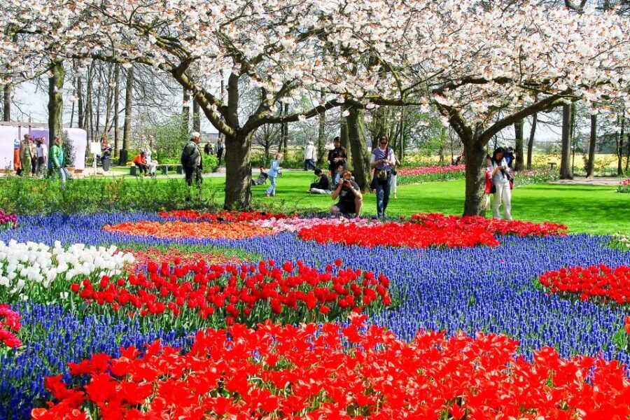 From Amsterdam: Keukenhof Ticket with Transfer - Optional Amsterdam canal cruise: what you get if you add it