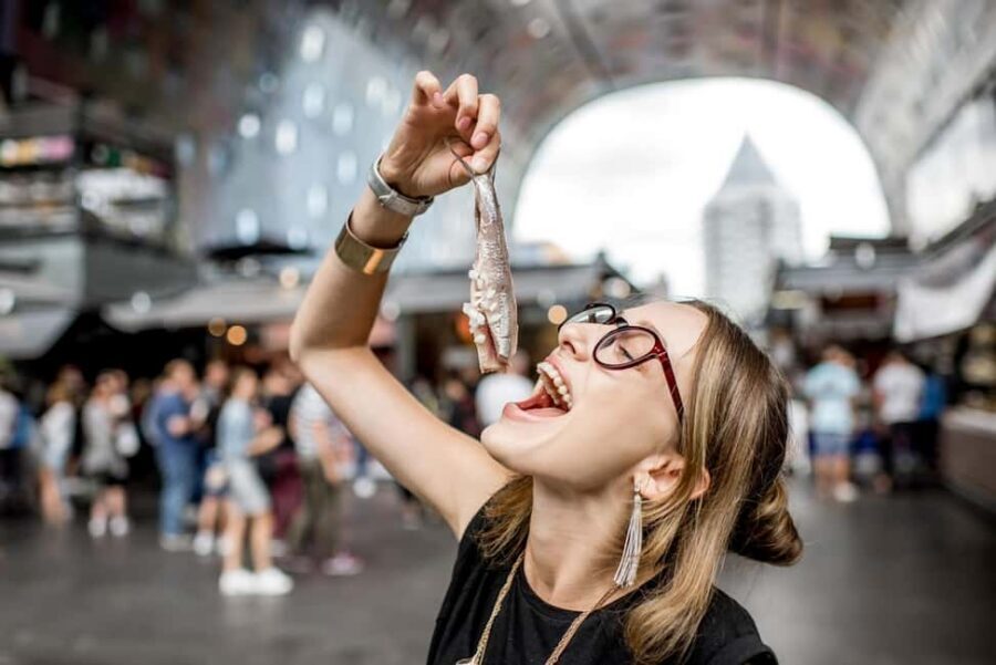 From Amsterdam: Rotterdam, Delft & The Hague Guided Day Tour - Who this tour is best for