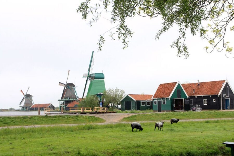 From Amsterdam: Windmills of Zaanse Schans Tour - Gouda Cheese Factory Stop: Sampling Without Getting Lost