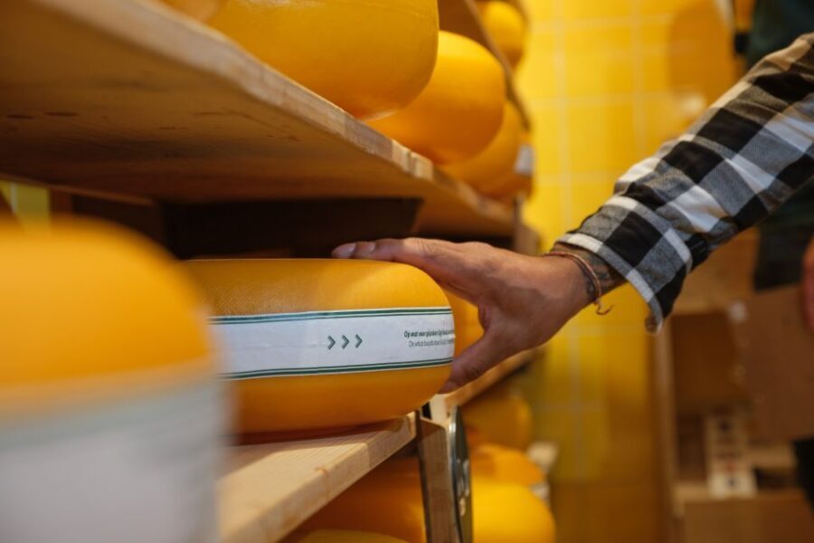 Gouda: Gouda Cheese Experience Entry Ticket - Staff Energy: When a Museum Feels Like a Conversation