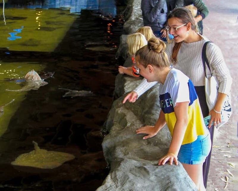 Harderwijk: Dolfinarium Entry Ticket - Price and value: is $28 per person fair?