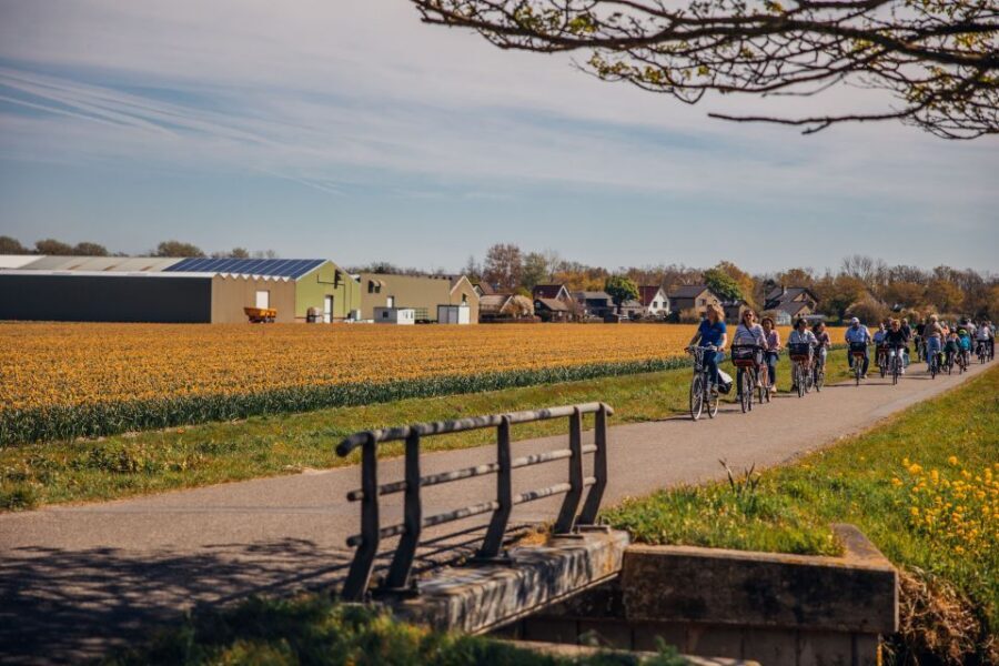 Keukenhof: Flower Fields Small-Group Cultural Bike Tour - Key things to know before you pedal