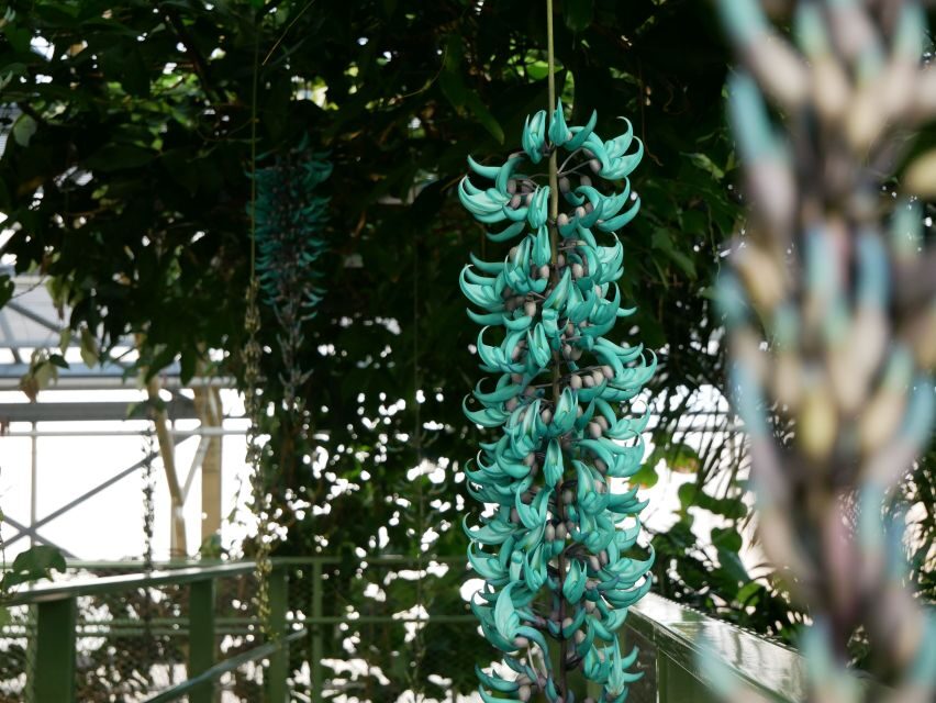 Leiden: Hortus botanicus Leiden Entry Ticket - Key things to notice before you go