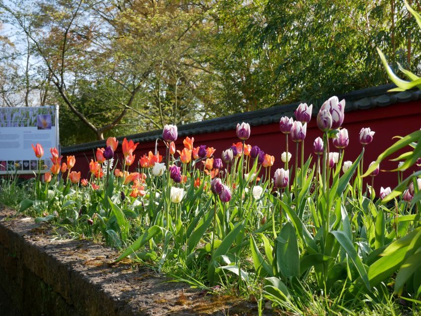 Leiden: Hortus botanicus Leiden Entry Ticket - Carnivorous plants and endangered trees you can actually stand under