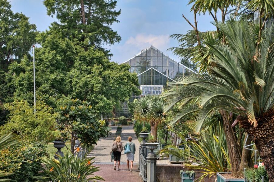 Leiden: Hortus botanicus Leiden Entry Ticket - Value and price: is $14 for 1.5 hours a fair deal?