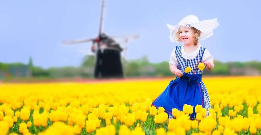 Magical Delft and the Keukenhof Estate: Tulips Galore - The coach ride between tulip fields and windmills