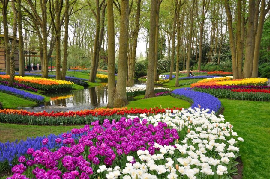 Magical Delft and the Keukenhof Estate: Tulips Galore - Getting there: meeting point and what to do before you go
