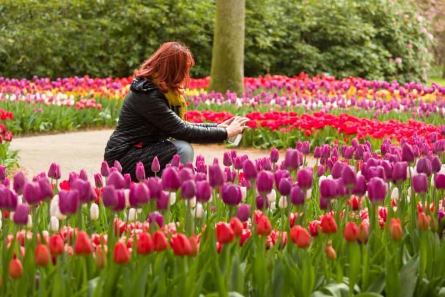 Magical Delft and the Keukenhof Estate: Tulips Galore - Who this tour suits best (and who should reconsider)