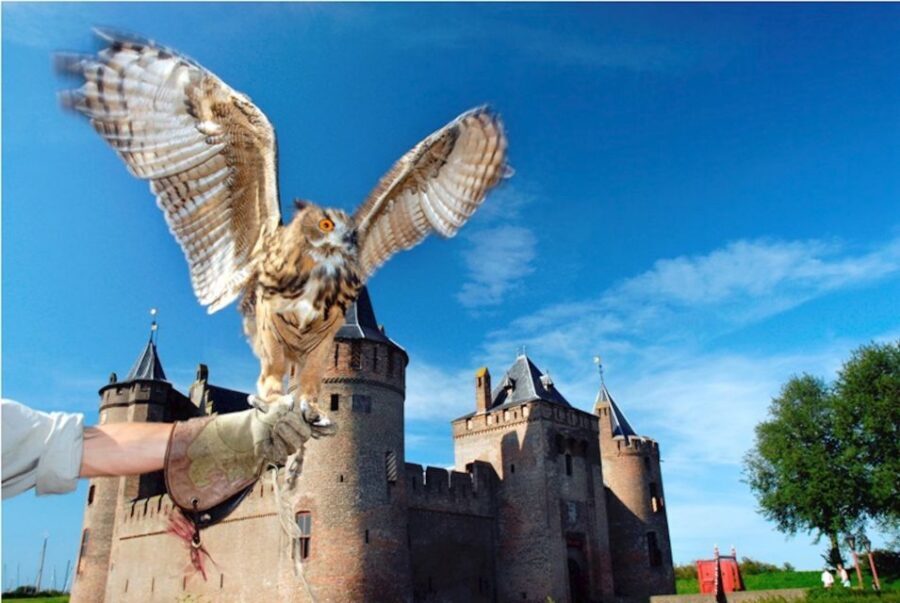 Muiden: Entry Ticket to Muiderslot Castle - Inside the Castle: Middle Ages and the 17th Century Rooms