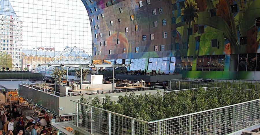 Rotterdam: City Center Walking Tour - Entering Rotterdam Central Station: an easy start with real-world context