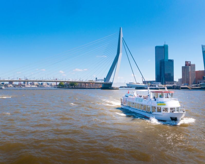 Rotterdam: Harbor Cruise with Live Guide - Who Should Book This Cruise—and Who Might Pass
