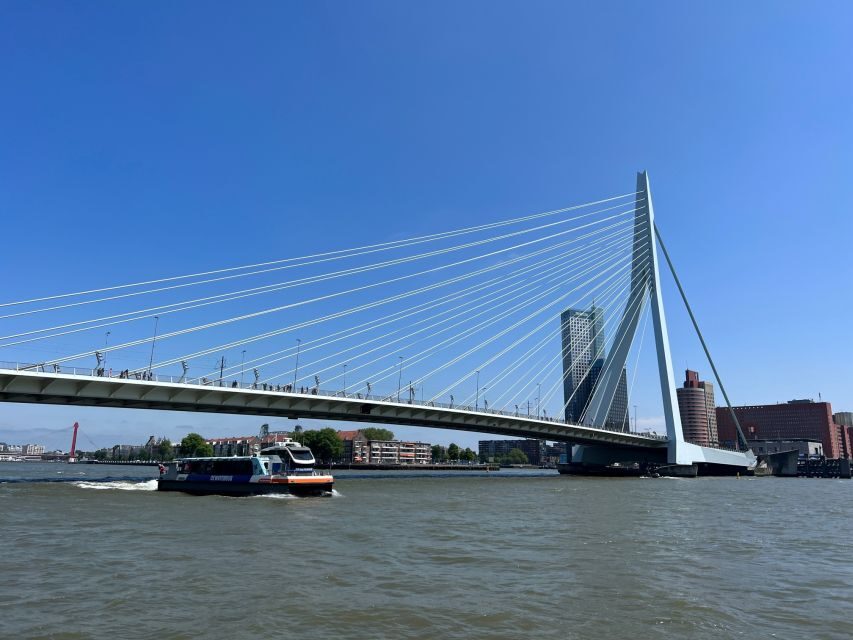 Rotterdam: WaterShuttle Ticket to Kinderdijk - The Rotterdam-to-Kinderdijk route: why the water makes the day better