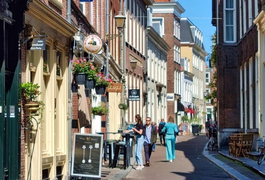 The Hague: City Walking Tour - Languages, guide style, and who will get the most out of this walk