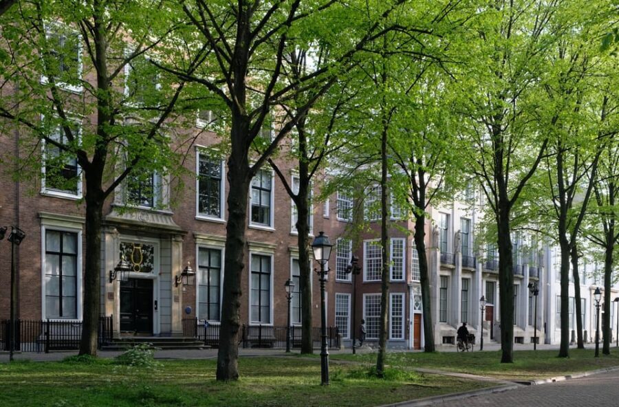 The Hague: City Walking Tour - Narrow streets and old-village details that reward your attention