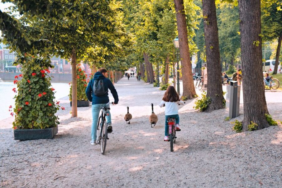 The Hague: Highlights Bike Tour - Key highlights to know before you pedal