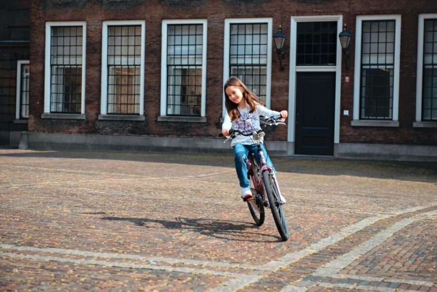 The Hague: Highlights Bike Tour - Why The Hague looks different from the bike lane