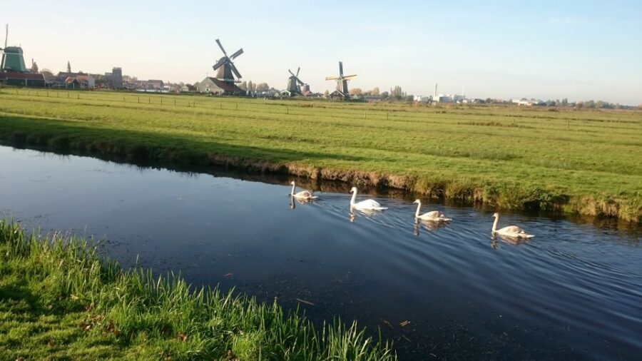 Zaanse Schans Windmills 4-Hour Tour in Italian - Practical tips so your day feels smooth